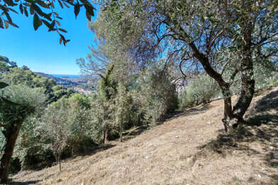 Terrain  23000 €