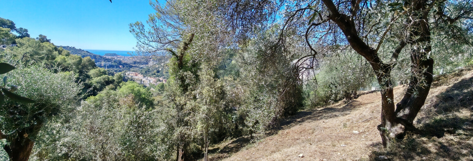 Terrain  2700 m² à vendre à Saint-André-de-la-Roche (06730)