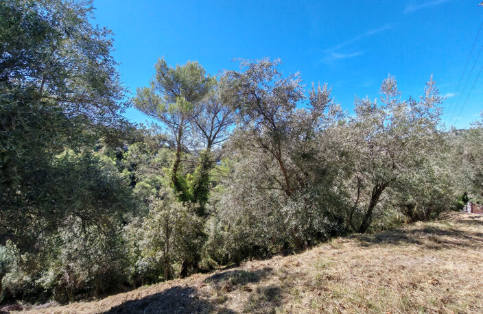 HAUTEURS DE SAINT-ANDRÉ-DE-LA-ROCHE   2 700 m2 DE TERRAIN AR — photo 2