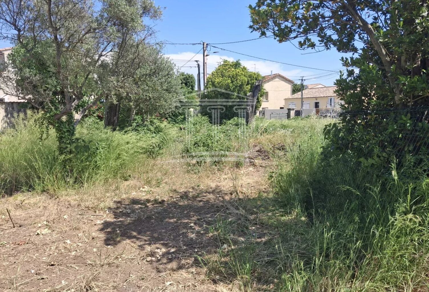 Terrain — photo 1