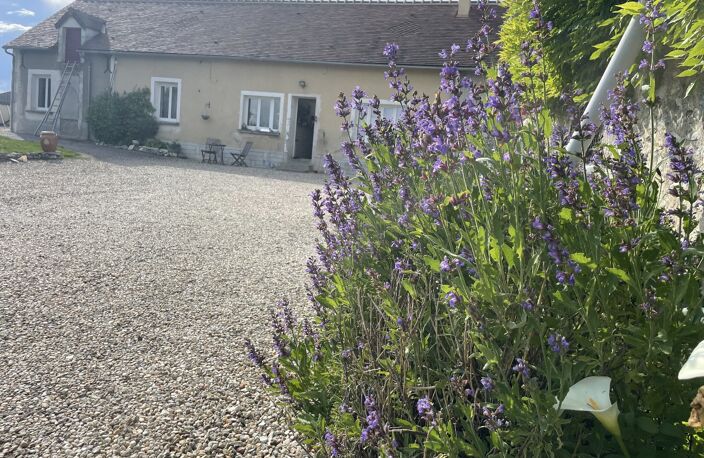 Maison — photo 2