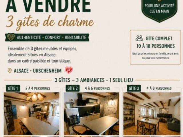 URSCHENHEIM  ENSEMBLE IMMOBILIER DE 204 m² AVEC 3 GÎTES — photo du bien
