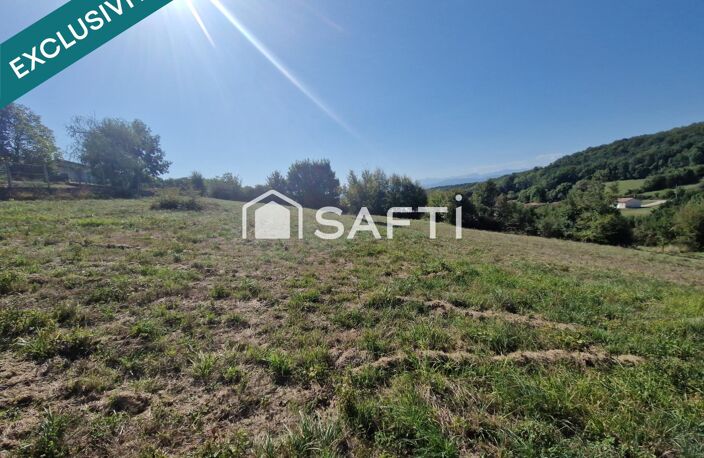 Terrain 4200 m² borné, non viabilisé. — photo 3