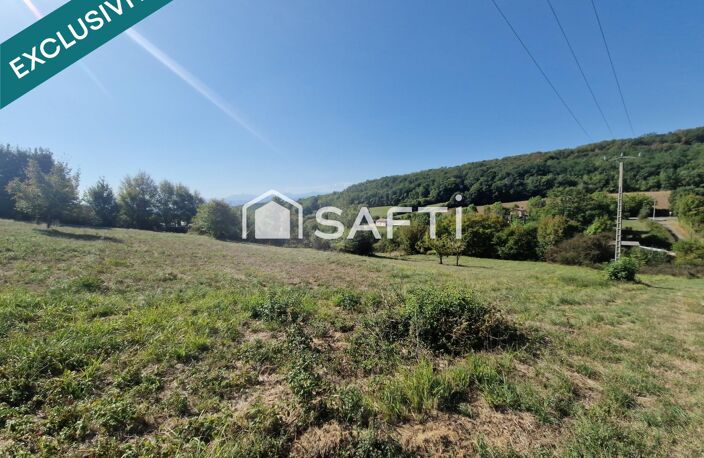 Terrain 4200 m² borné, non viabilisé. — photo 4