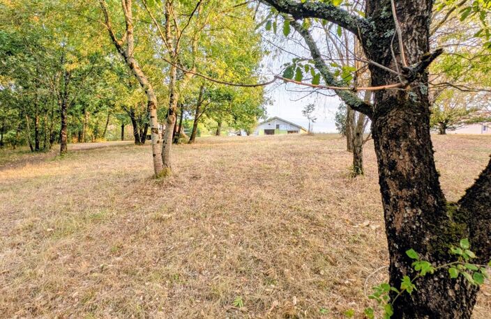 Maison de charme avec lac, bois et prairie à 5 minutes de Marmande — photo 5