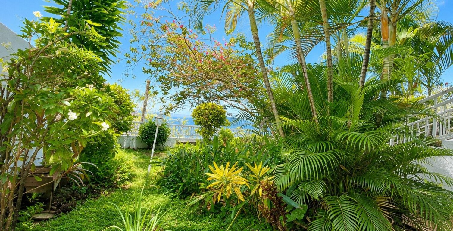T3 entièrement rénové, en rez de jardin avec vue mer et cours arrière à Fond Lahaye — photo 1