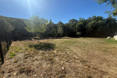 Terrain  315000 €