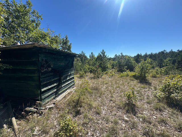 Terrain Sault 20196 m2 — photo du bien