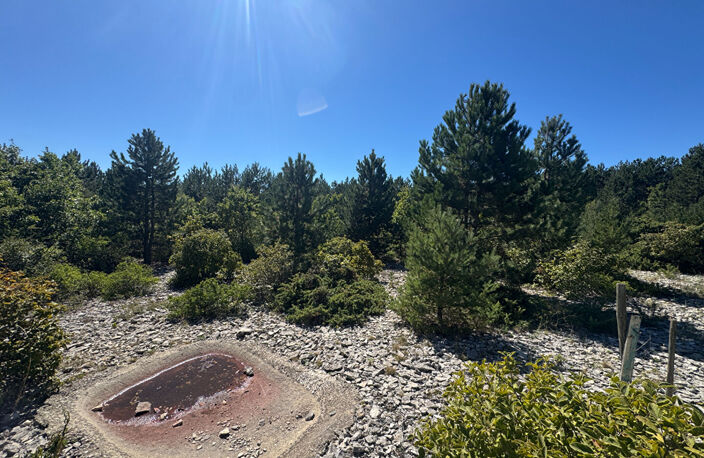 Terrain Sault 20196 m2 — photo 2