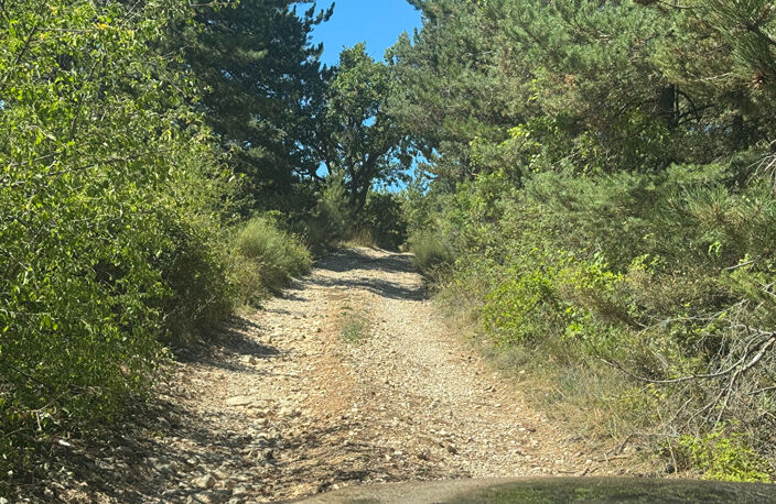 Terrain Sault 20196 m2 — photo 4