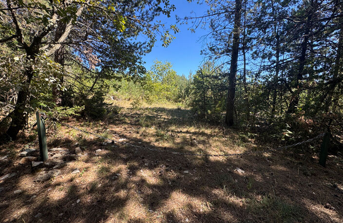 Terrain Sault 20196 m2 — photo 5