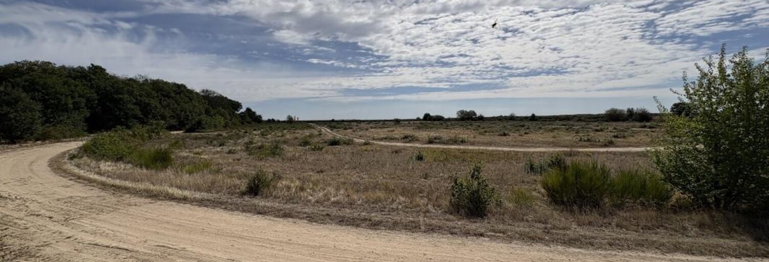 Terrain  106000 m² à vendre à Niherne (36250)