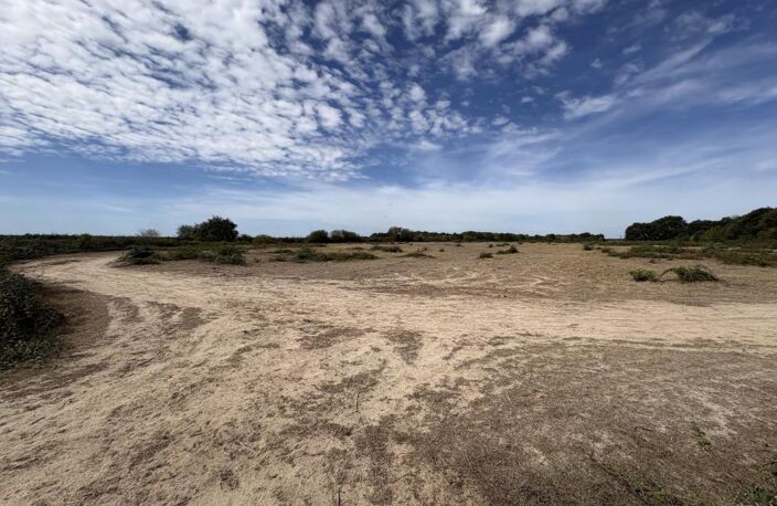 Terrain agricole — photo 2