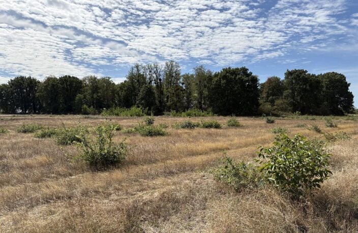Terrain agricole — photo 3