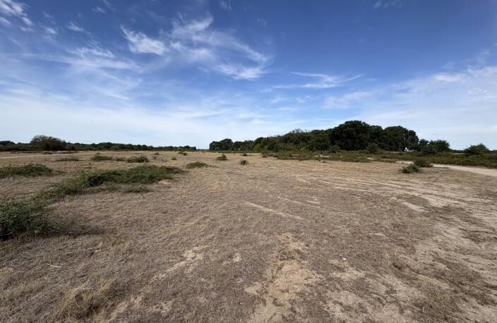 Terrain agricole — photo 4