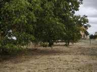 maison de village 77 m2 sur un terrain de 1670 ,m2 — photo 2