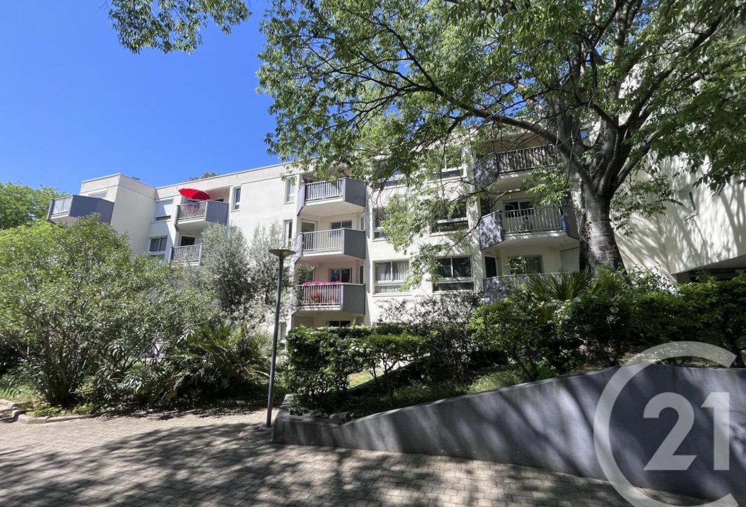 T2 — photo 1
