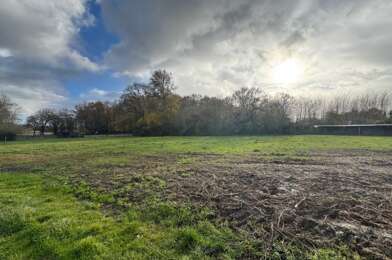 Terrain  60000 €