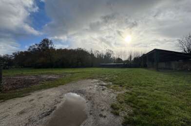 Terrain  61000 €