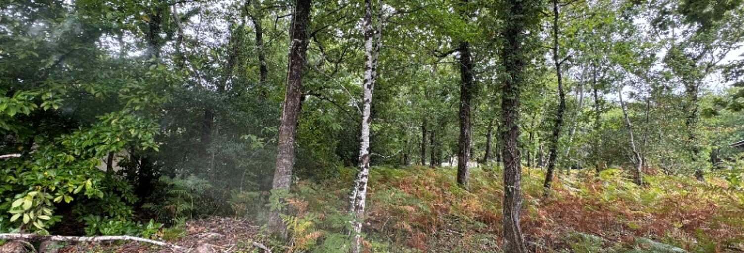 Terrain  2019 m² à vendre à Grayan-et-l'Hôpital (33590)