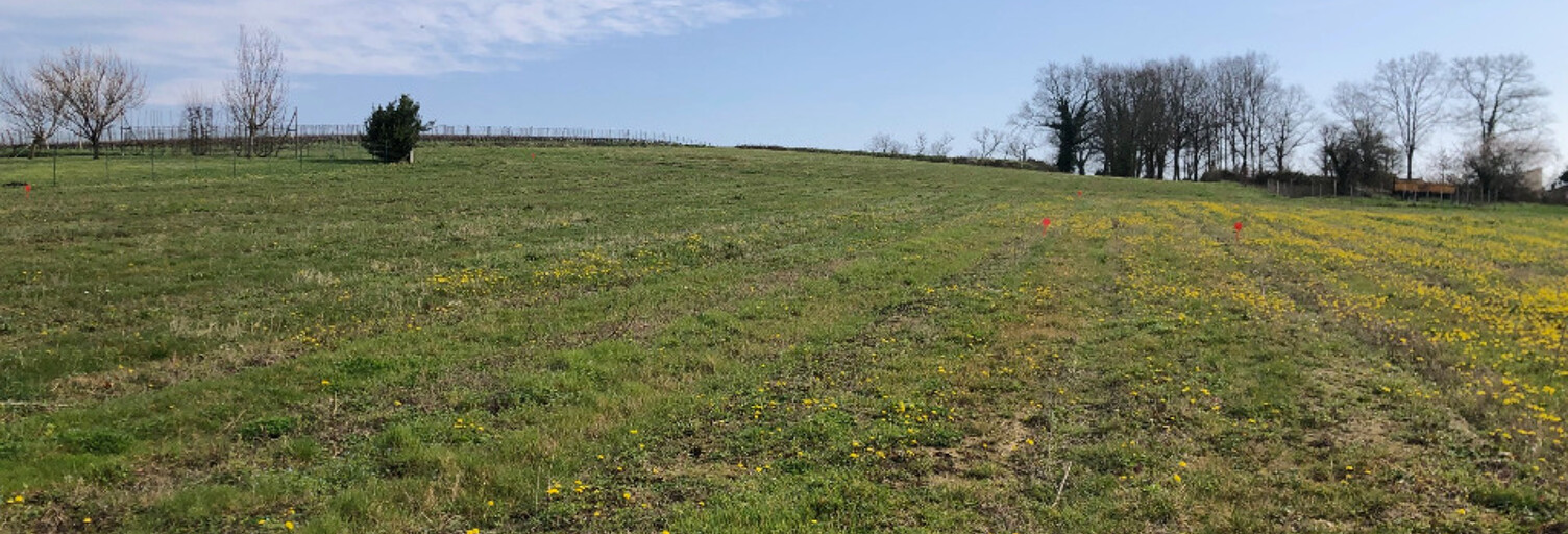 Terrain  1074 m² à vendre à Saint-Savin (33920)