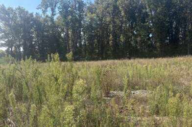 Terrain  88000 €
