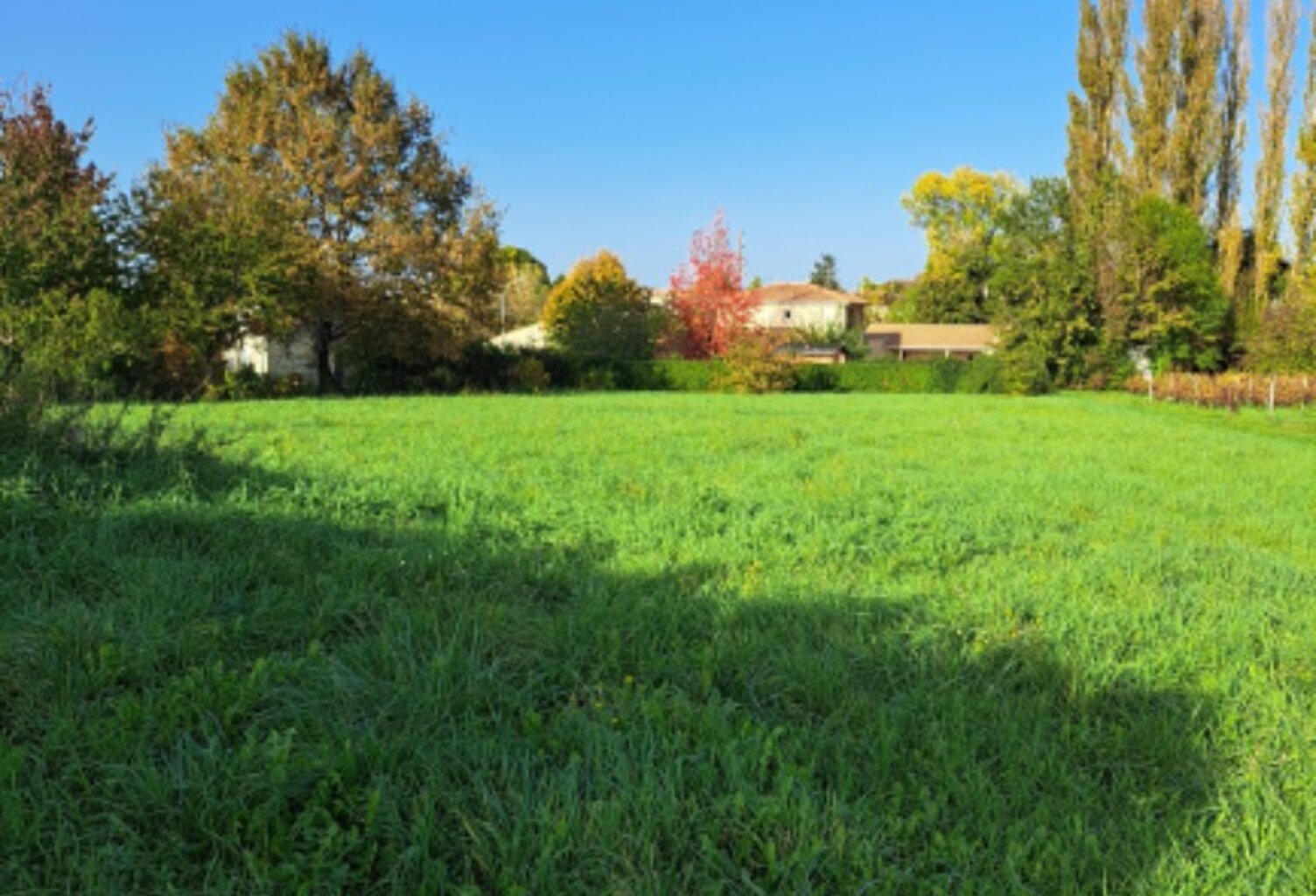Terrain à bâtir à Saint-Denis-de-Pile (33910) — photo 1