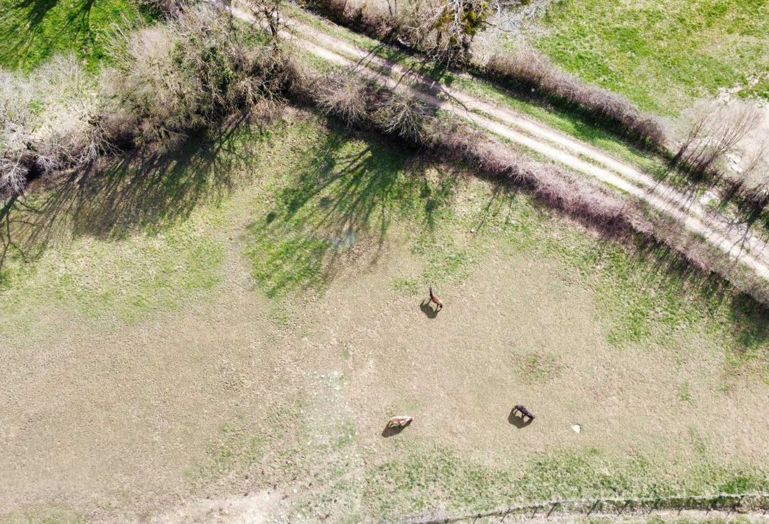 À Vendre – Terrain Constructible Viabilisé à Sévérac-l'Église 3305 m2 — photo 1