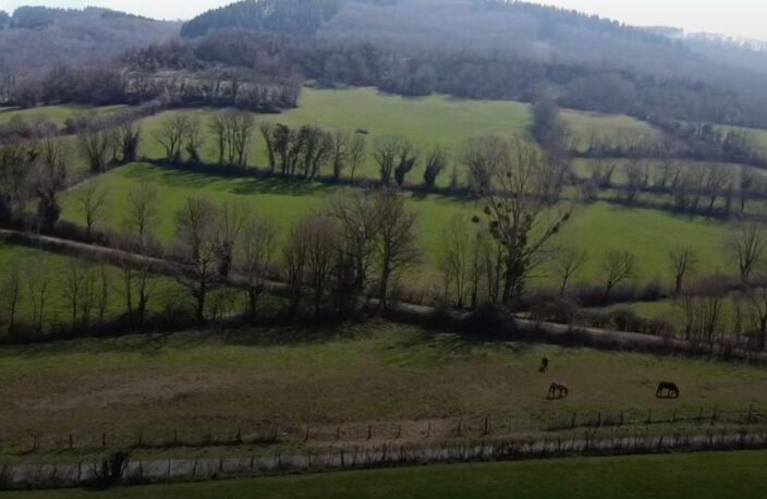 À Vendre – Terrain Constructible Viabilisé à Sévérac-l'Église 3305 m2 — photo 2