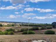 CORPS DE FERME – 1,5 HA – NOMBREUSES DÉPENDANCES – TORIGNI-SUR-VIRE — photo 4