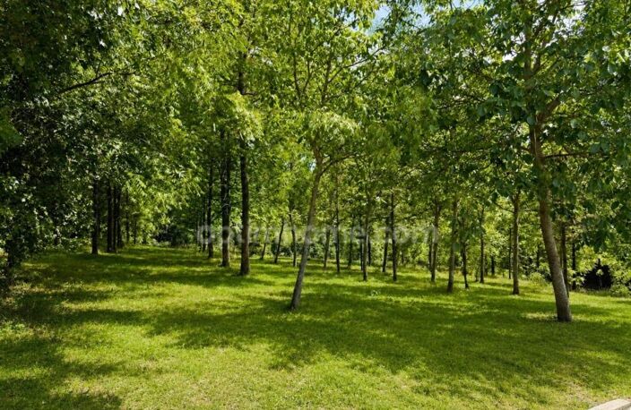 Maison normande en pierre et colombages – 150 m² – 4 chambres – Terrain de 767 m² – Val-de-Vie (14140) — photo 2