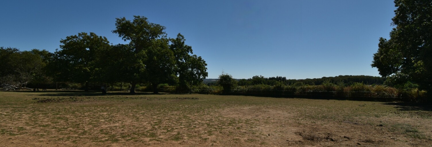 Photo N° 2