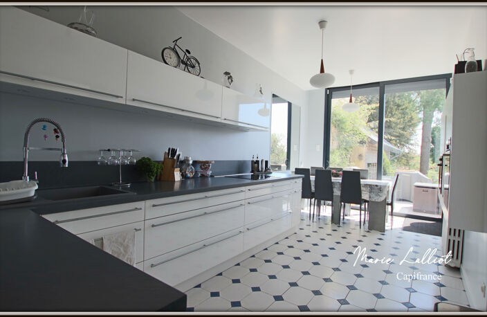 Maison à vendre 11 pièces PITHIVIERS (45), 370m², 5 chambres, séjour 45m², piscine, garage, parc arboré de 2500m², sous-sol — photo 5