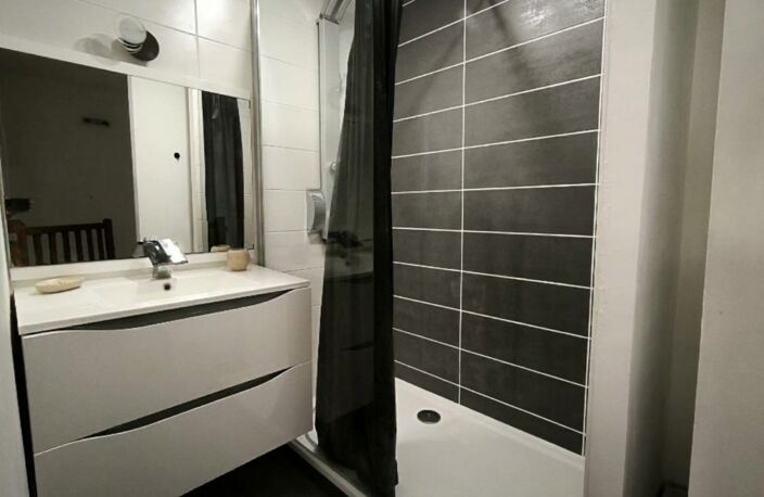 Appartement Vienne 63,74m² en duplex traversant et lumineux — photo 4