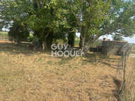 terrain — photo 2