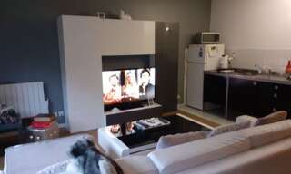 Appartement 2 Pièces 46 m² à louer à Sainte-Adresse (76310)
