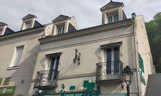 Appartement 4 Pièces 111 m² à louer à Saint-Aignan (41110)