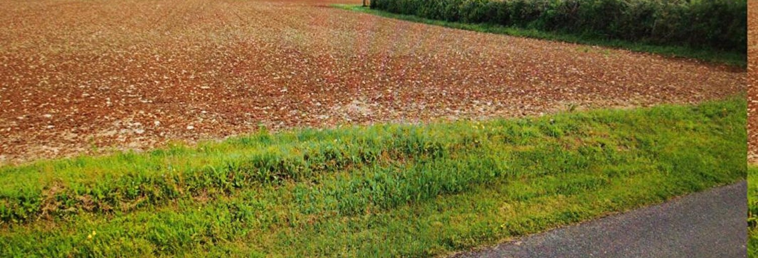 Terrain  1500 m² à vendre à Buffon (21500)