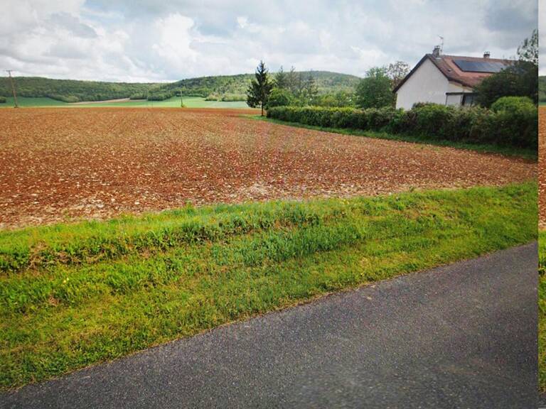 Terrain Buffon 1500 m2 — photo 1