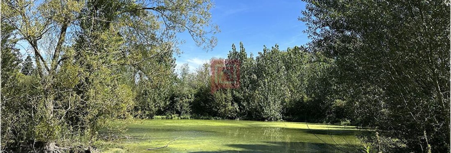 Maison  5624 m² à vendre à Le Controis-en-Sologne (41120)