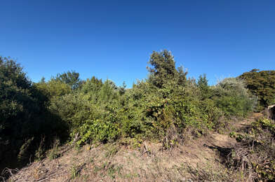 Terrain  115500 €