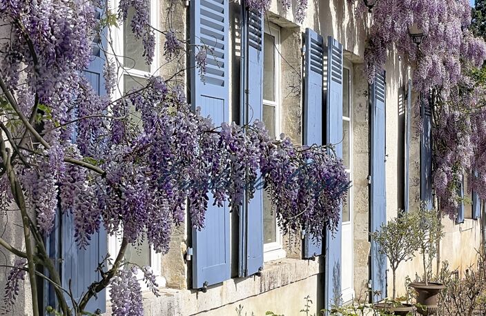 Vente Maison/villa 12 pièces — photo 4