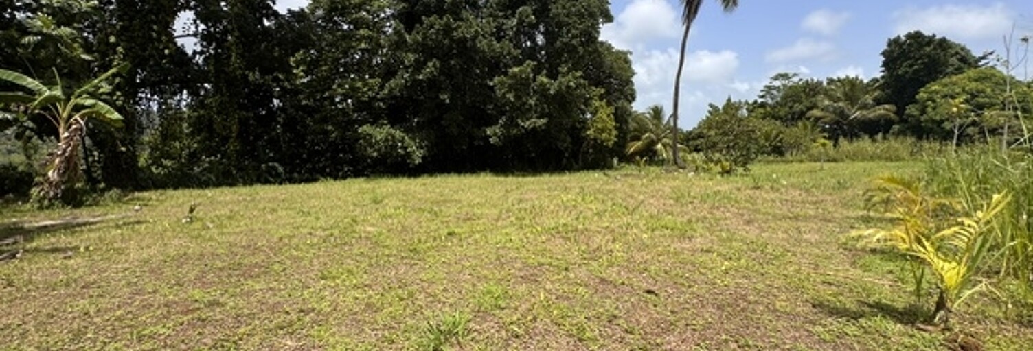 Terrain  1875 m² à vendre à Petit-Bourg (97170)