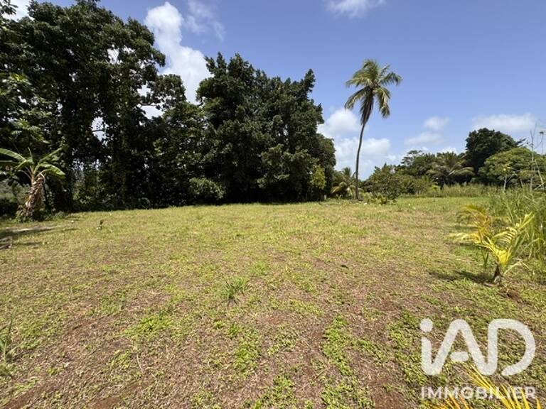 Vente Terrain à bâtir 1 875 m&sup2; — photo 1