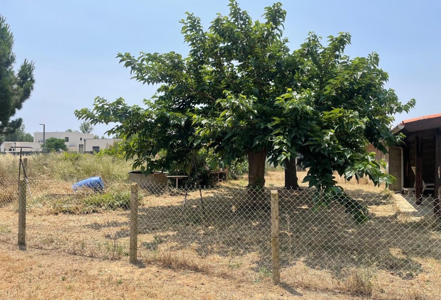 Terrain constructible de 311m2 à Serignan-Viabilisé-Proche mer — photo 1