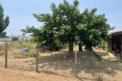 Terrain  110000 €