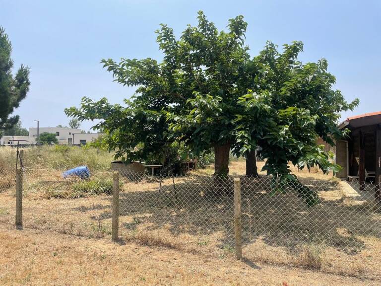 Terrain constructible de 311m2 à Serignan-Viabilisé-Proche mer — photo 1