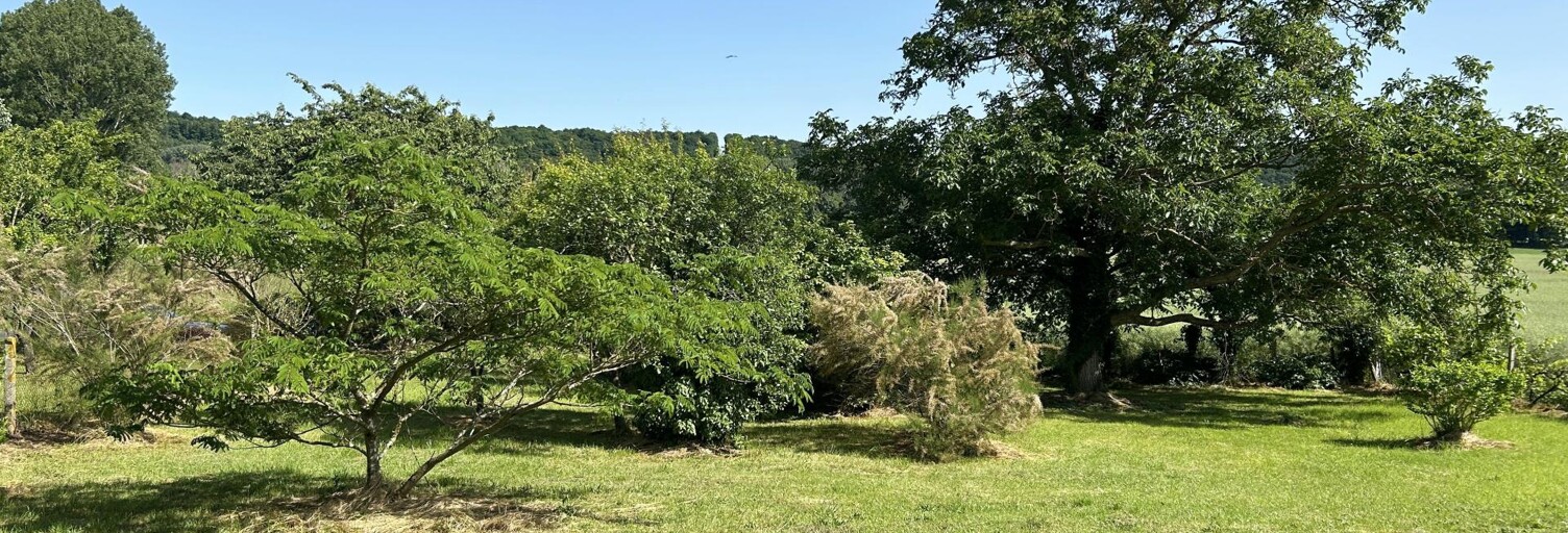 Terrain  1110 m² à vendre à Lunay (41360)