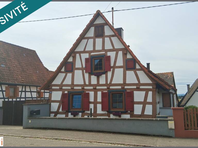 Maison alsacienne rénovée + dépendance + jardin — photo 1