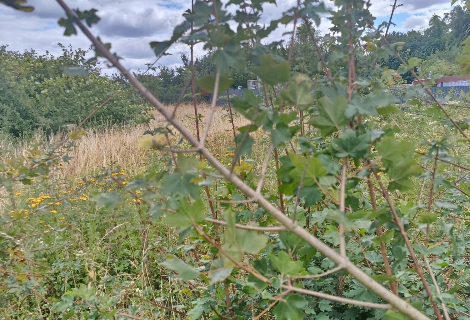 Terrain à bâtir 450m2 — photo 1